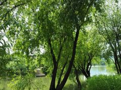 -长兴太湖图影湿地文化园