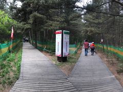 -帽儿山国家森林公园