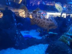 -成都浩海立方海洋公园