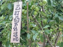 -百里峡七彩艺术小镇