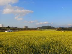景点-光明小镇欢乐田园