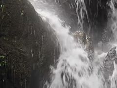 -长洲岛