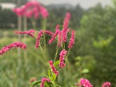 -百里峡七彩艺术小镇