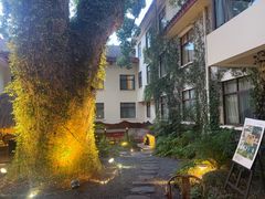 -普陀山雷迪森庄园