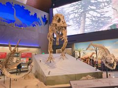 -贝林大翅鲸简餐厅(国家海洋博物馆店)