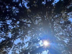 -终南山南五台景区