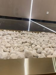 -铂诗玥医美
