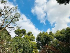 -思南公馆