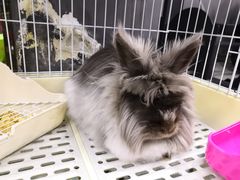 -UltraForce超源健身私教工作室(长楹天街精品店)