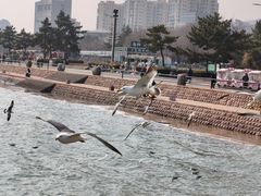 -幸福门