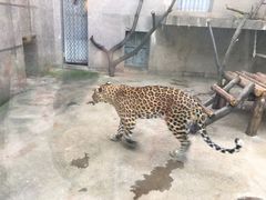 -西安秦岭野生动物园