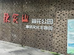 -陈家山荷花公园