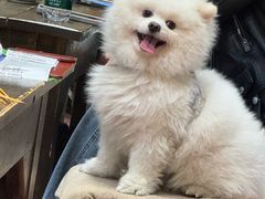 -盟重烧烤店(高正街店)