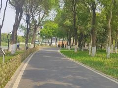 -海珠湖公园