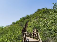 -大岭沟猕猴桃谷风景区