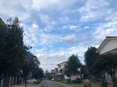 -三圣花乡旅游区