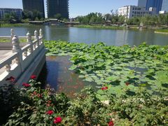 -西海子公园