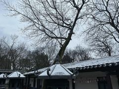 -虞山风景区