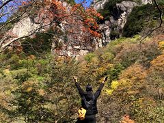 -青峰峡国家森林公园