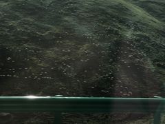 -橡皮山