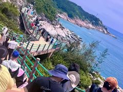 -广东惠东海龟国家级自然保护区