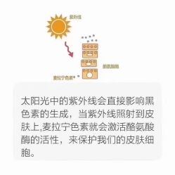 点击看大图 -美肤盾祛痘·问题肌头疗管理中心