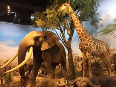 -陕西自然博物馆