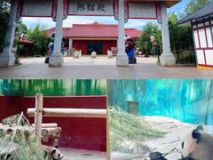 -杭州野生动物世界