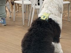 -小意思咖啡店(草桥店)