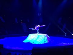 -珠海横琴长隆《卡卡虎奇遇记》