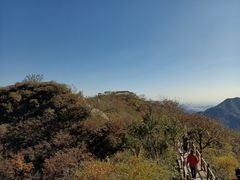 -大岭沟猕猴桃谷风景区