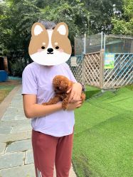 -萌宠亲子动物乐园(槐房万达店)