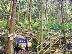 -东天目山风景区