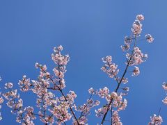 -新江湾城公园