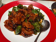 -辣可可·小炒黄牛肉(望京凯德MALL店)