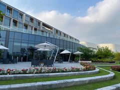 -东方美谷JW万豪酒店·The lounge大堂吧