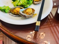 -丽苑大酒店