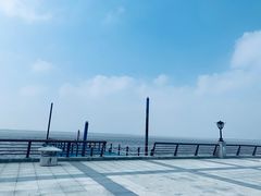 -呼兰河口湿地公园