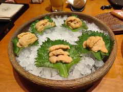-月龍吟(朝龙汇店)