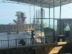 -东方熊牧场