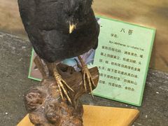 -下渚湖国家湿地公园科普馆