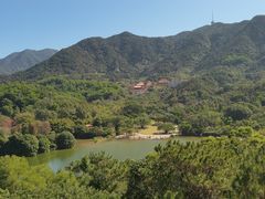 -深圳仙湖植物园