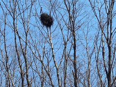 -六鼎山文化旅游区