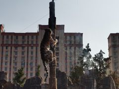 -上海野生动物园