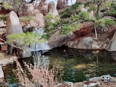 -罗红摄影艺术馆