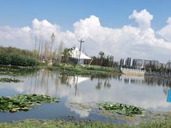 -呈贡滇池生态湿地公园