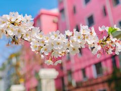 -永乐路-路侧停车场