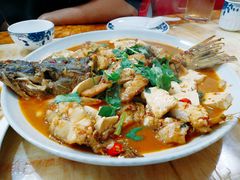 -煲来饱去冷水鱼