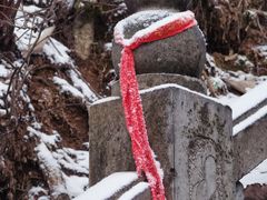 -终南山国家森林公园