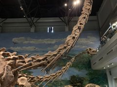 -自贡恐龙博物馆